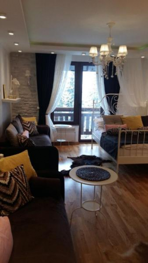 Отель Visnja Apartment  Копаоник